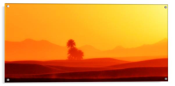  Hot Sahara Desert  Acrylic by HQ Photo