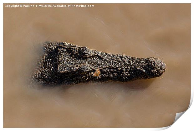  Butterfly on Crocodile's Nose Print by Pauline Tims