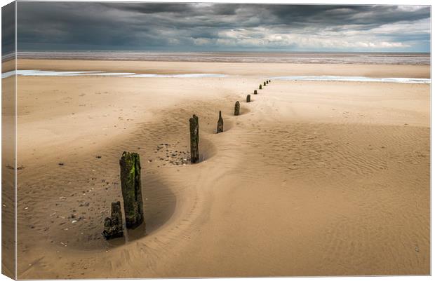  Brancaster Beach with stumps Canvas Print by Stephen Mole