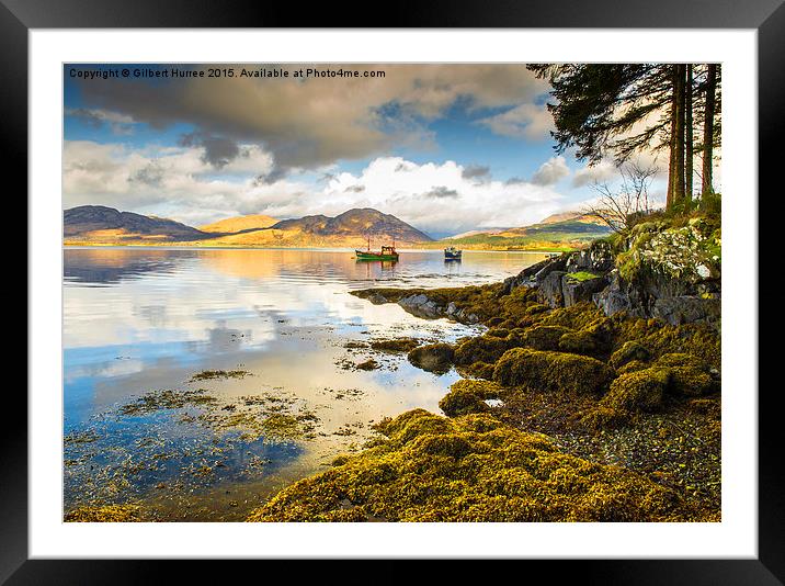 Loch Creran Scotland Framed Mounted Print by Gilbert Hurree