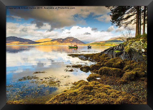 Loch Creran Scotland Framed Print by Gilbert Hurree