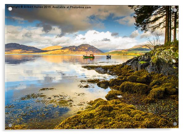 Loch Creran Scotland Acrylic by Gilbert Hurree