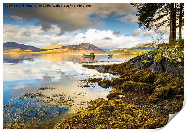 Loch Creran Scotland Print by Gilbert Hurree