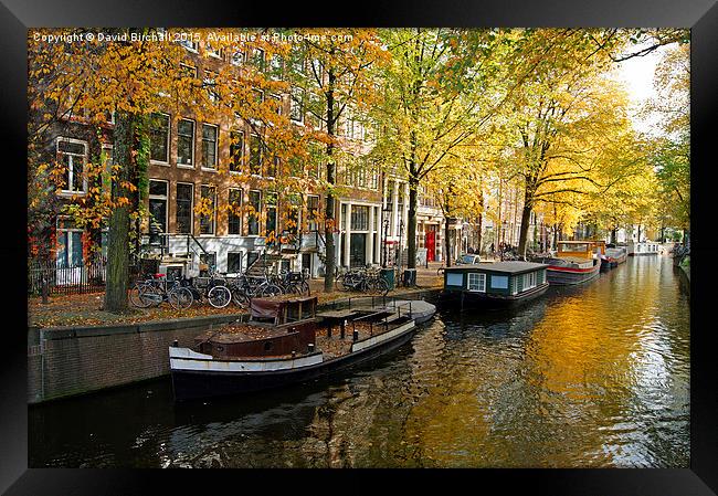Autumn In Amsterdam  Framed Print by David Birchall