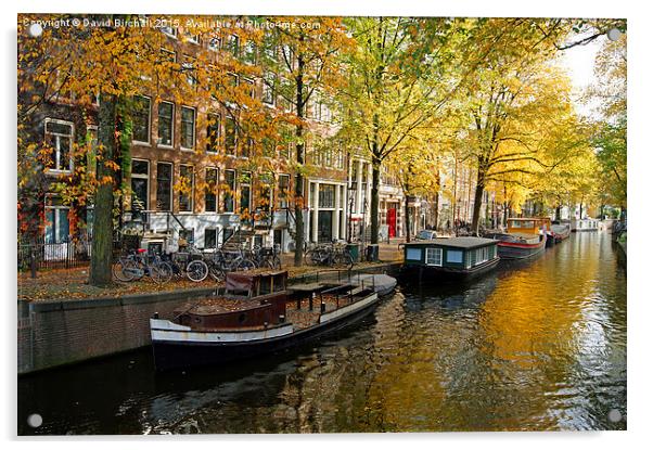 Autumn In Amsterdam  Acrylic by David Birchall