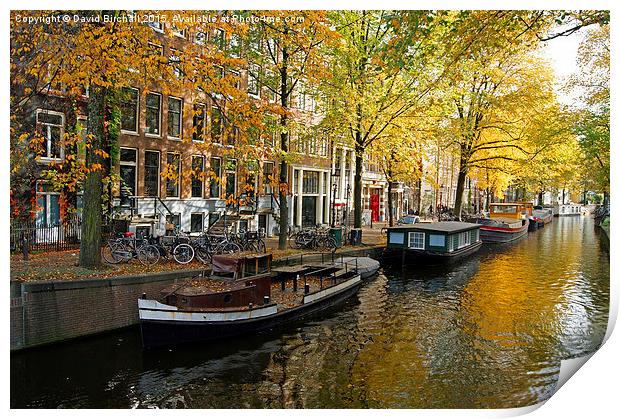 Autumn In Amsterdam  Print by David Birchall