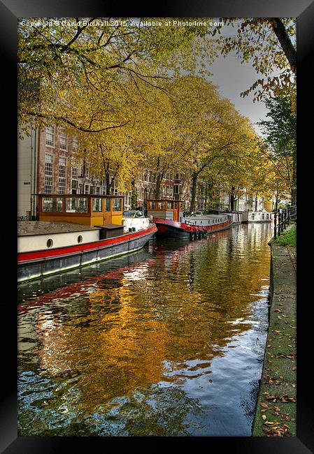  Amsterdam Waterway In Autumn Framed Print by David Birchall