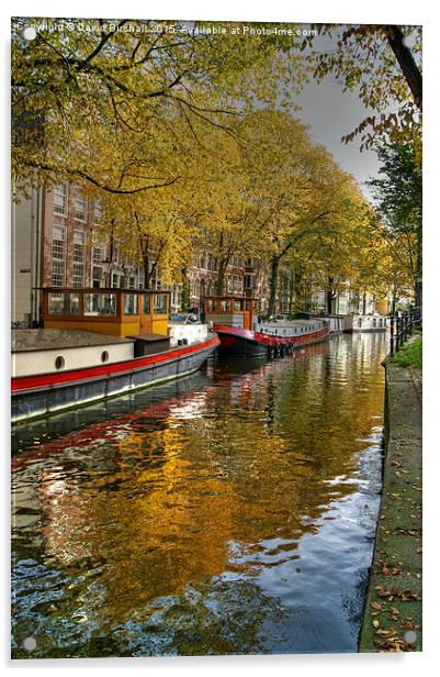 Amsterdam Waterway In Autumn Acrylic by David Birchall