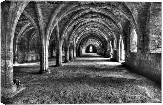 Arches Canvas Print by Dave Carroll