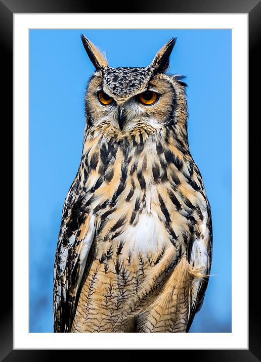  eagle owl Framed Mounted Print by Kelvin Rumsby