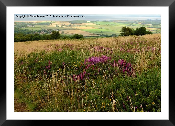  Quantock Hills Somerset Framed Mounted Print by Diana Mower