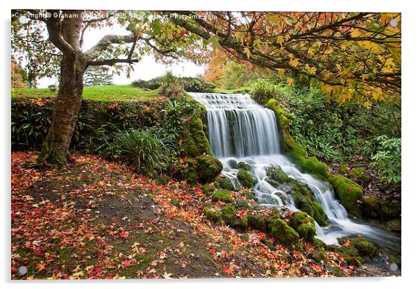 Littlebredy Waterfall  Acrylic by Graham Custance