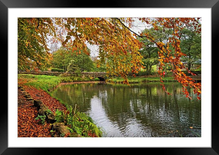 Oaksedge Lane Bridge and Bentley Brook Mill Pond  Framed Mounted Print by Darren Galpin