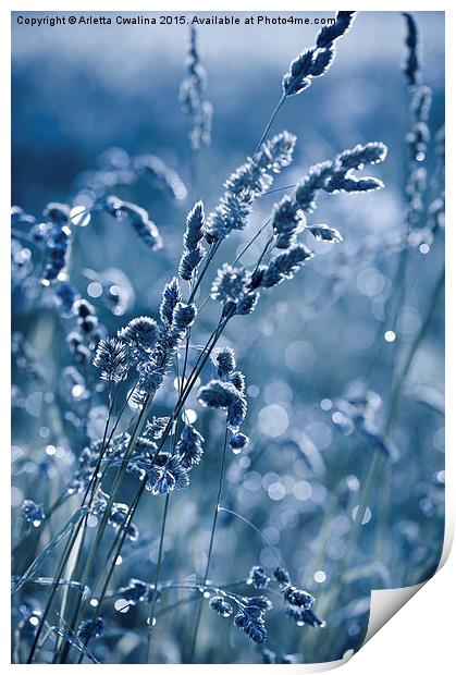 Blue grass shining in bokeh Print by Arletta Cwalina
