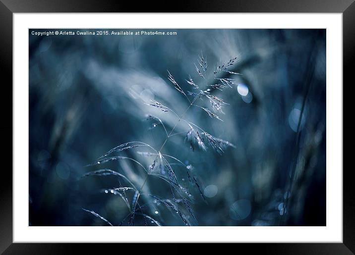 Blue tone grass soft macro Framed Mounted Print by Arletta Cwalina