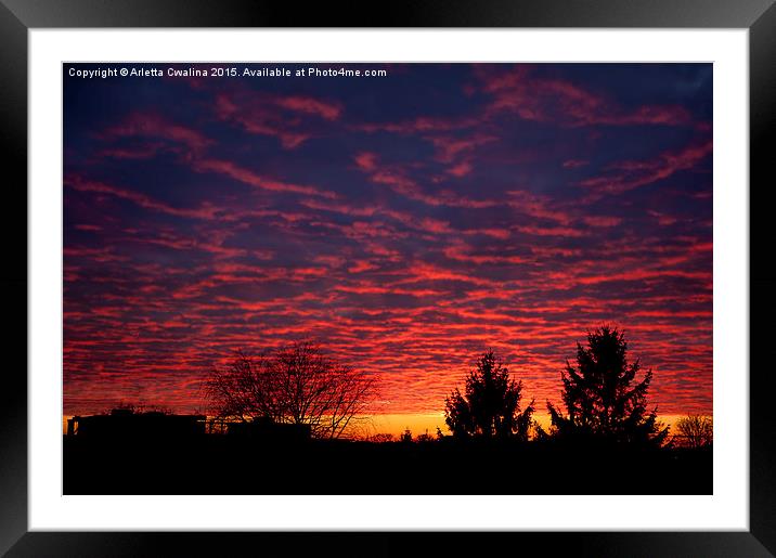 Amazing red sunset sky Framed Mounted Print by Arletta Cwalina
