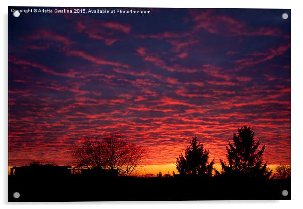 Amazing red sunset sky Acrylic by Arletta Cwalina
