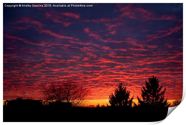 Amazing red sunset sky Print by Arletta Cwalina