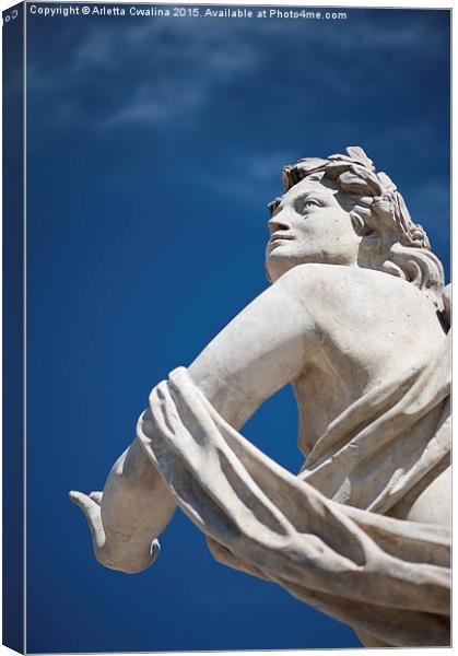 Statue with Polarising filter Canvas Print by Arletta Cwalina