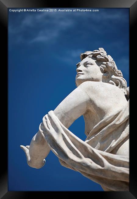 Statue with Polarising filter Framed Print by Arletta Cwalina