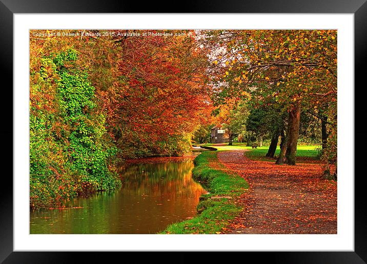  Autumn Colours Framed Mounted Print by Delwyn Edwards