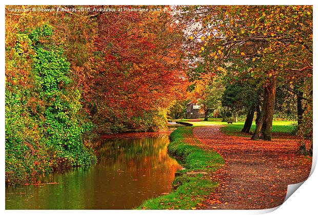  Autumn Colours Print by Delwyn Edwards