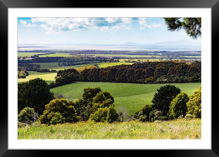  Looking over Wilson's Promontory, Victoria, Austr Framed Mounted Print by Pauline Tims