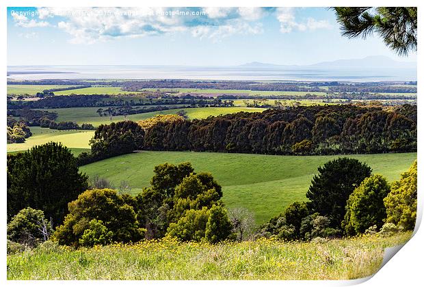  Looking over Wilson's Promontory, Victoria, Austr Print by Pauline Tims