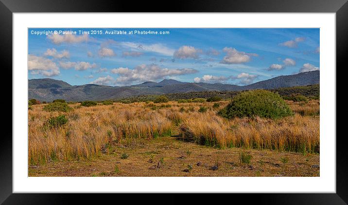  Bush at Wilson's Promontory, Victoria, Australia Framed Mounted Print by Pauline Tims