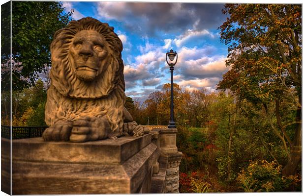 The Lion and the Lamp Post  Canvas Print by Jonah Anderson Photography
