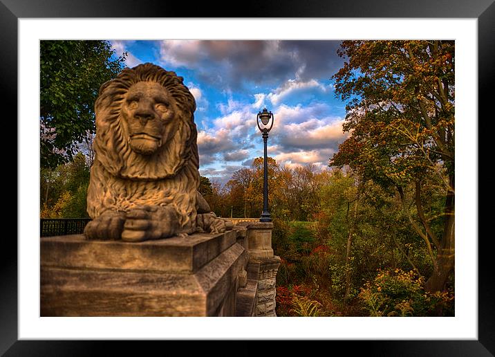 The Lion and the Lamp Post  Framed Mounted Print by Jonah Anderson Photography