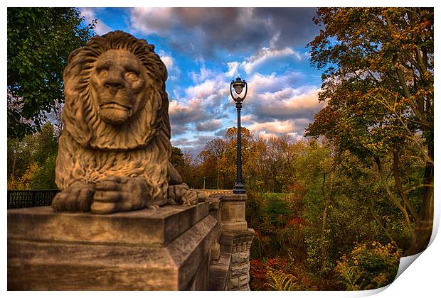 The Lion and the Lamp Post  Print by Jonah Anderson Photography