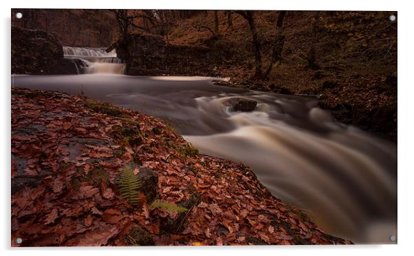  Waterfall Country South Wales Acrylic by Leighton Collins