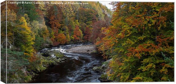 Autumn in the gorge Canvas Print by Aaron Casey