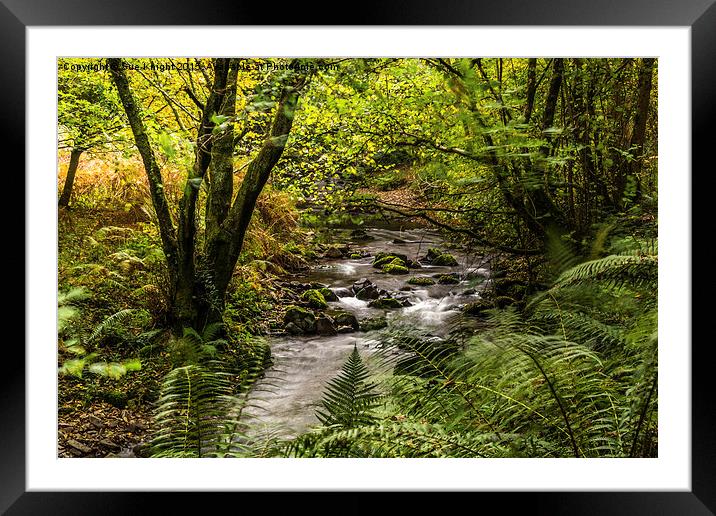  The river at Horner Wood,Somerset Framed Mounted Print by Sue Knight