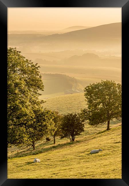 Hillside View Framed Print by Malcolm McHugh