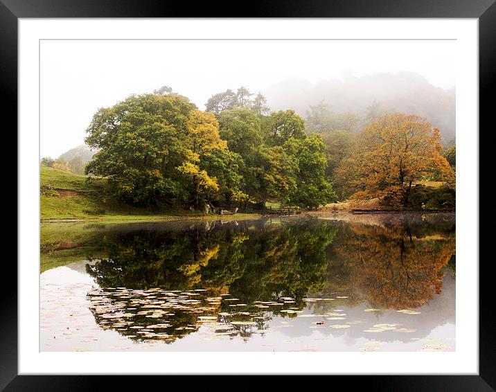 Autumn at Loughrigg Framed Mounted Print by Susan Tinsley