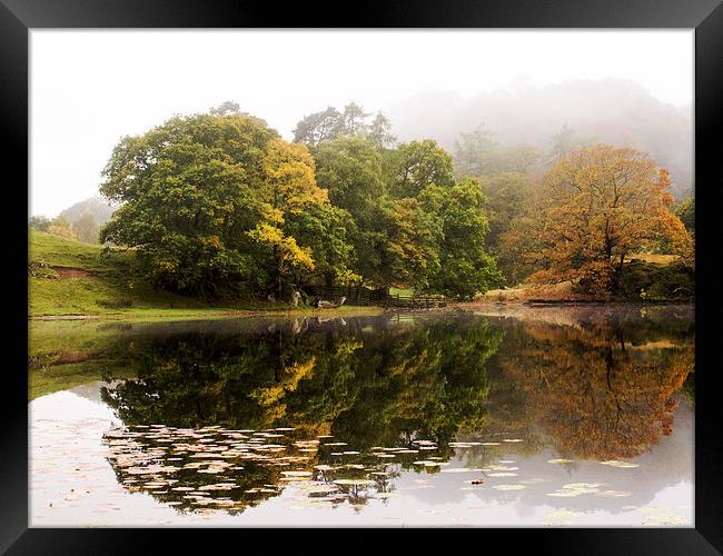 Autumn at Loughrigg Framed Print by Susan Tinsley