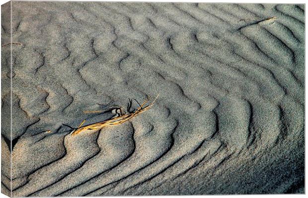  Ripples in the sand Canvas Print by Geoffrey Matthews