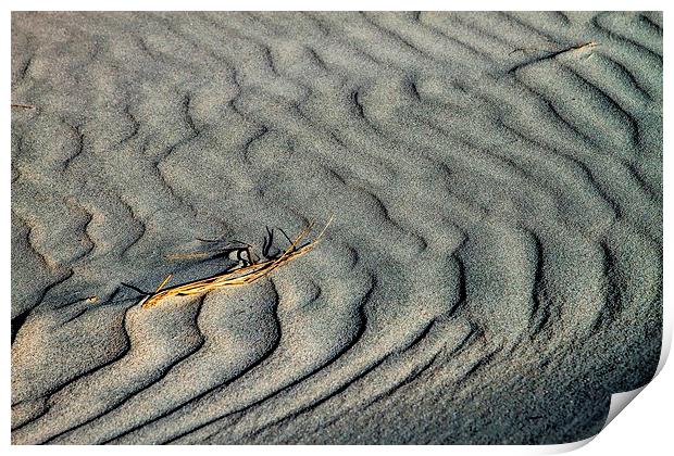  Ripples in the sand Print by Geoffrey Matthews