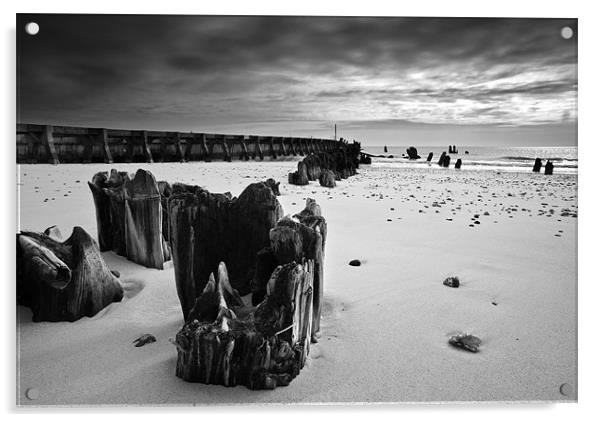 Old groyns on Walberswick Beach Acrylic by Stephen Mole