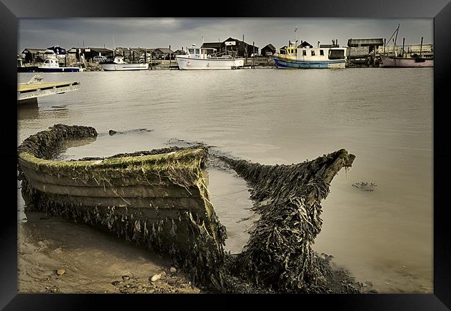 An old boat on the River Blyth facing Southwold Framed Print by Stephen Mole
