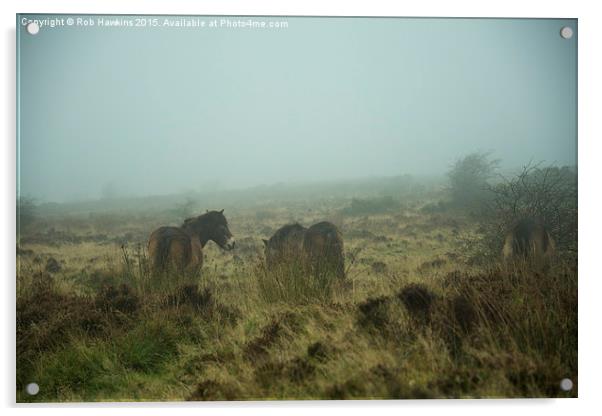 Ponies in the mist  Acrylic by Rob Hawkins