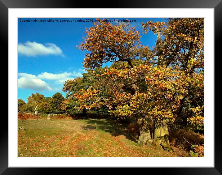  Nature, The Golden Oak Framed Mounted Print by Linsey Williams