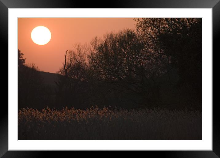 Sunset in Chilbolten, Hampshire, England. Framed Mounted Print by Ian Middleton