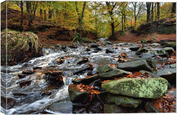 Autumnal colours in Roddlesworth - Tockholes woods Canvas Print by Gary Kenyon