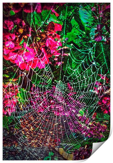  Morning Dew Print by Carmel Fiorentini