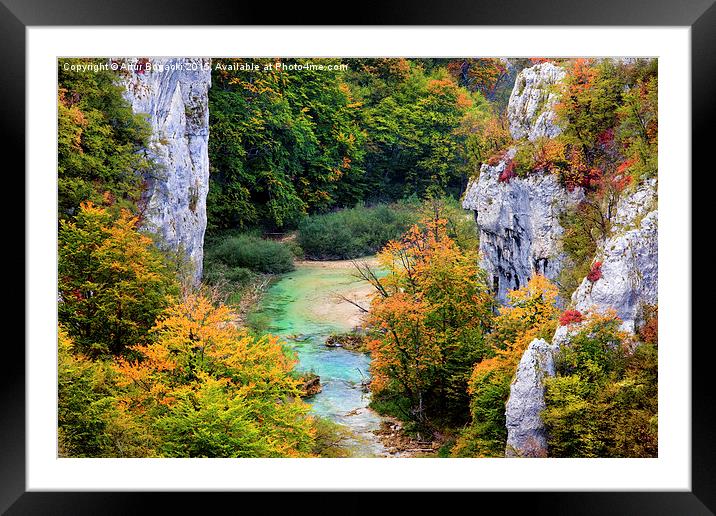 Stream in Autumn Mountain Forest Framed Mounted Print by Artur Bogacki