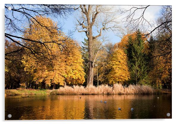 Lazienki Park Autumn Scenery Acrylic by Artur Bogacki