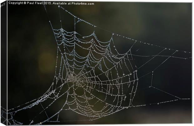 Dew laden cobweb Canvas Print by Paul Fleet